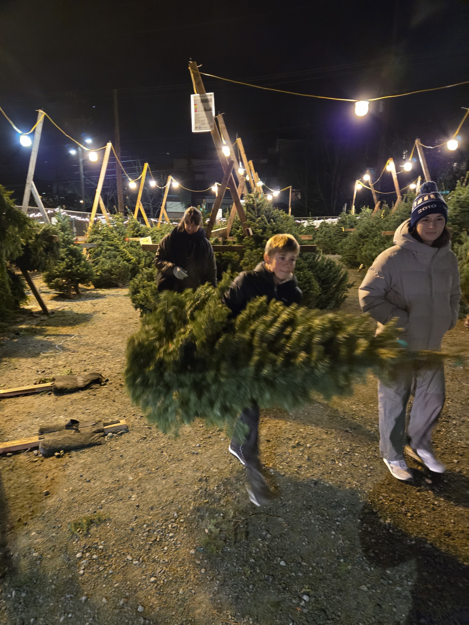 QA Scouts Christmas Tree Lot